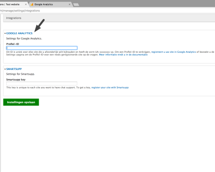 Zet je cursor in het vak van Google Analytics.