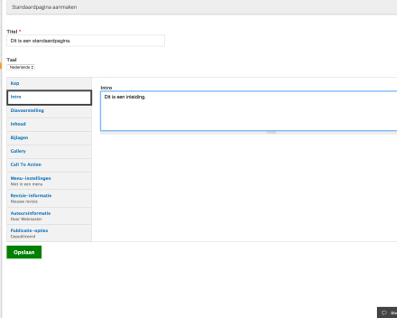 Bij 'Intro' kan je een inleiding kiezen voor je pagina. Aan deze tekst kan je geen opmaak voorzien.