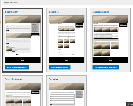 Kies voor het eerste type pagina 'Blogoverzicht'.