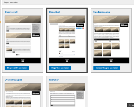 Kies voor 'Blogartikel'.