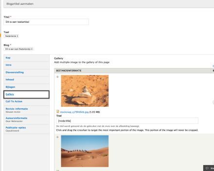 Bij 'Galerij' kan je foto's uploaden die onderaan het artikel te zien kunnen zijn. Je kan opnieuw meerdere foto's in één keer uploaden. Je kan hier ook de volgorde van de foto's veranderen door de kruisjes te verslepen.