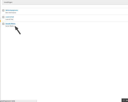 Kies voor de laatste optie 'Social media'.