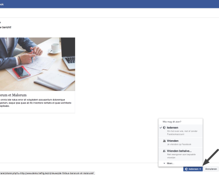 Kies wie het bericht kan zien. Dit kan iedereen, enkel je vrienden of enkel jezelf zijn.