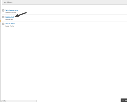 Je klikt op 'Look&Feel'.