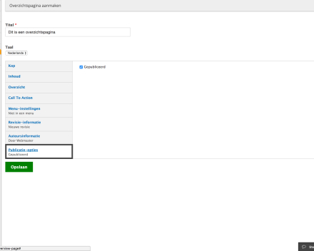 Bij 'Publicatie-opties' kan je kiezen om de pagina al dan niet te publiceren. Als je een pagina publiceert, dan kan iedereen de pagina zien. Depubliceer je de pagina, kan enkel een ingelogde gebruiker de pagina zien.