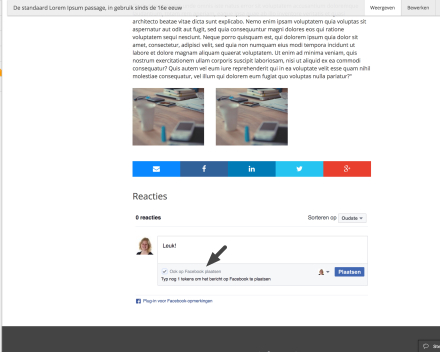 Je kan kiezen als je het bericht al dan niet op je Facebookpagina ook plaatst.